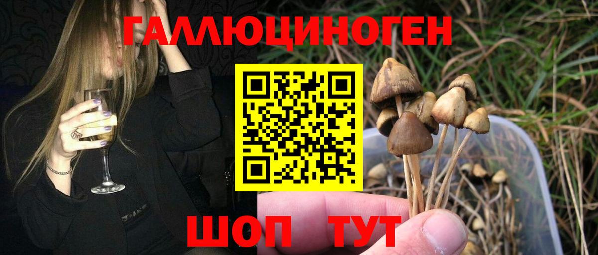 Галлюциногенные грибы мицелий Кострома