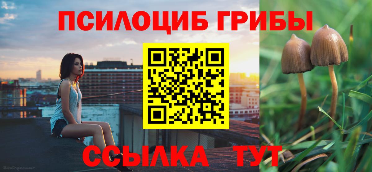 Галлюциногенные грибы прущие грибы  Галлюциногенные грибы мицелий  Вход с VPN  купить наркотик  Кострома 